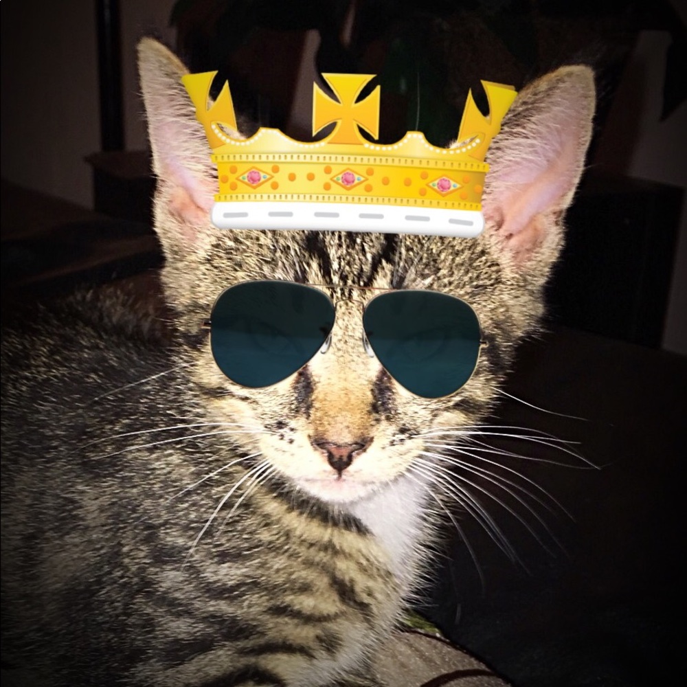 Meet your Posher, Christine